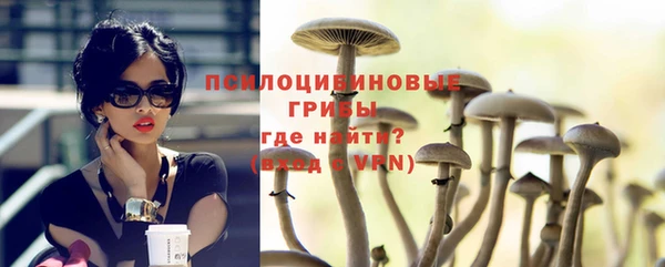 ALPHA PVP Остров