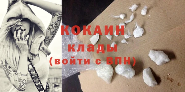 ALPHA PVP Остров