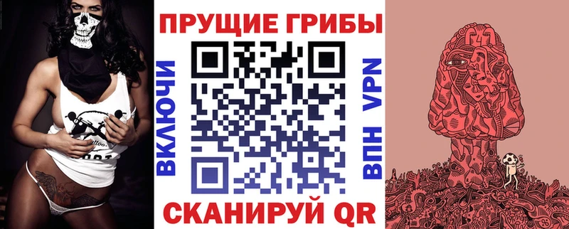 Купить закладки  Орёл  Галлюциногенные грибы GOLDEN TEACHER 